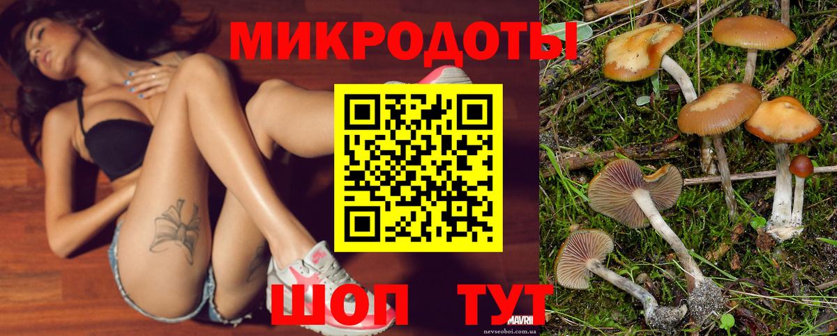 Петровск  Галлюциногенные грибы Psilocybe  Вход с VPN  Псилоцибиновые грибы Psilocybe 